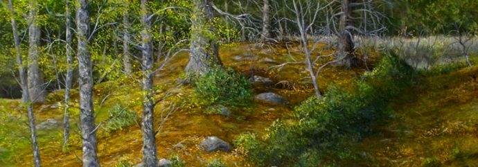 Canadian Art – David Gray Artist